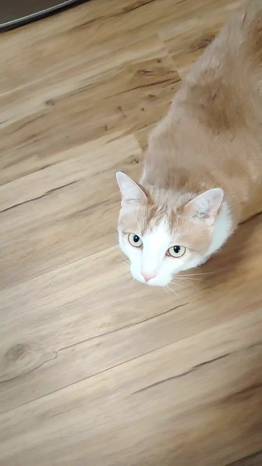 TikTok video thumbnail by _hejdine_