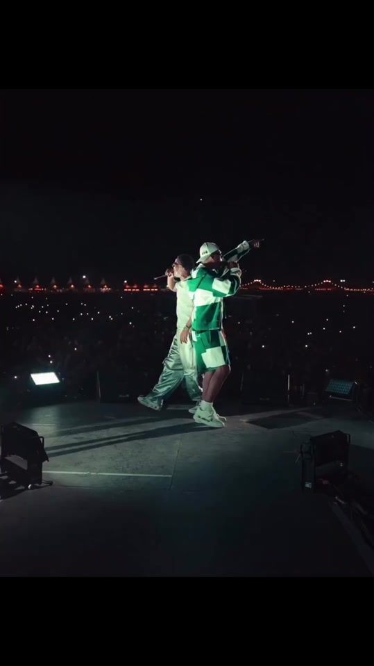 TikTok video thumbnail by lesardentes