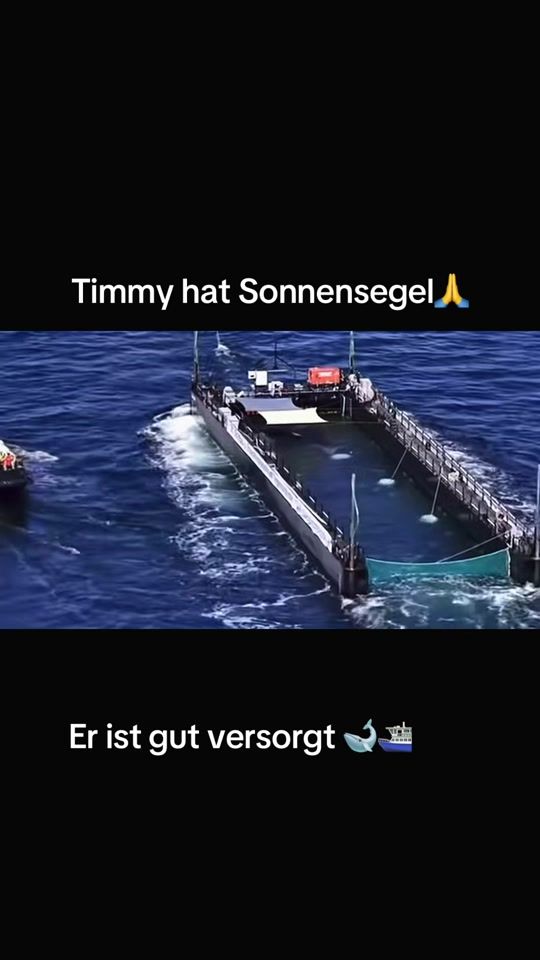 TikTok video thumbnail by tobi_ausgera