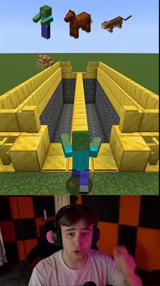 TikTok video thumbnail by maltixon