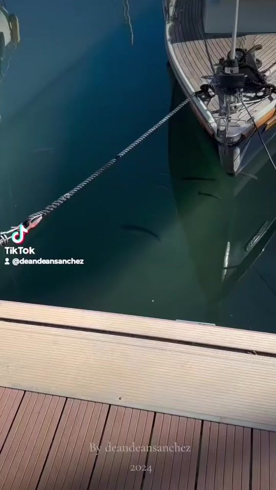 TikTok video thumbnail by deandeansanchez