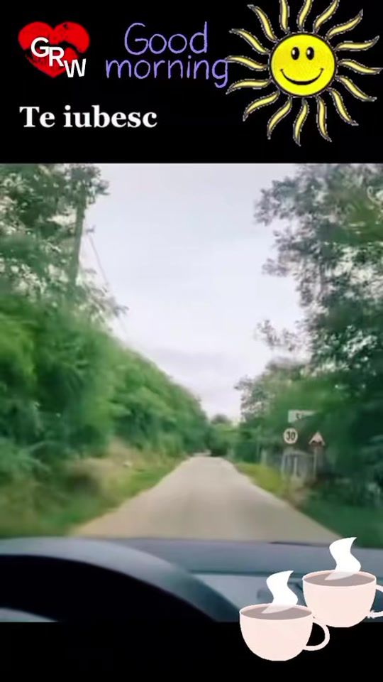 TikTok video thumbnail by danyela__grw247