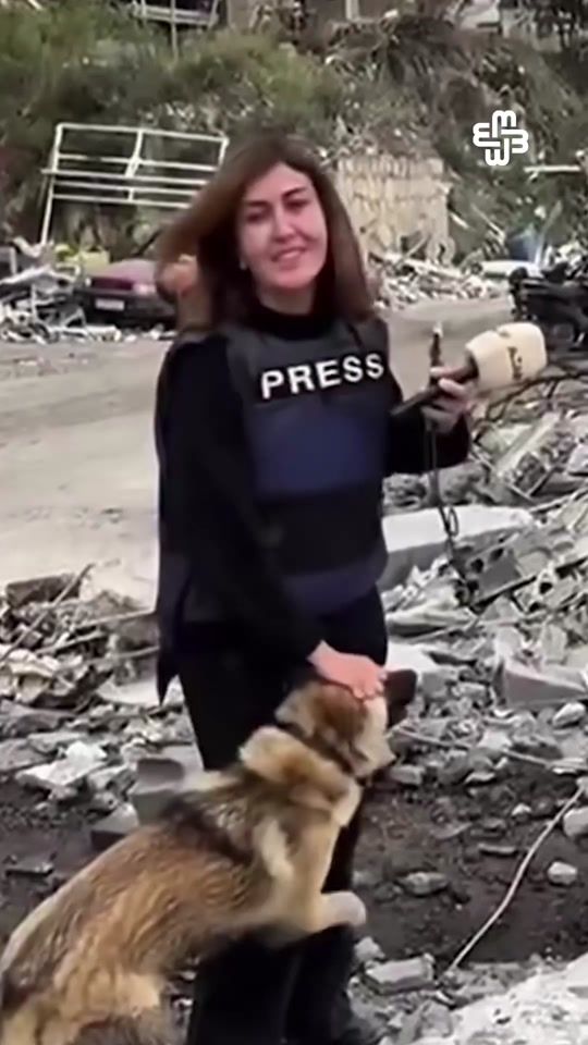 TikTok video thumbnail by meydantelevision