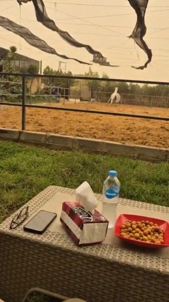 TikTok video thumbnail by neven385