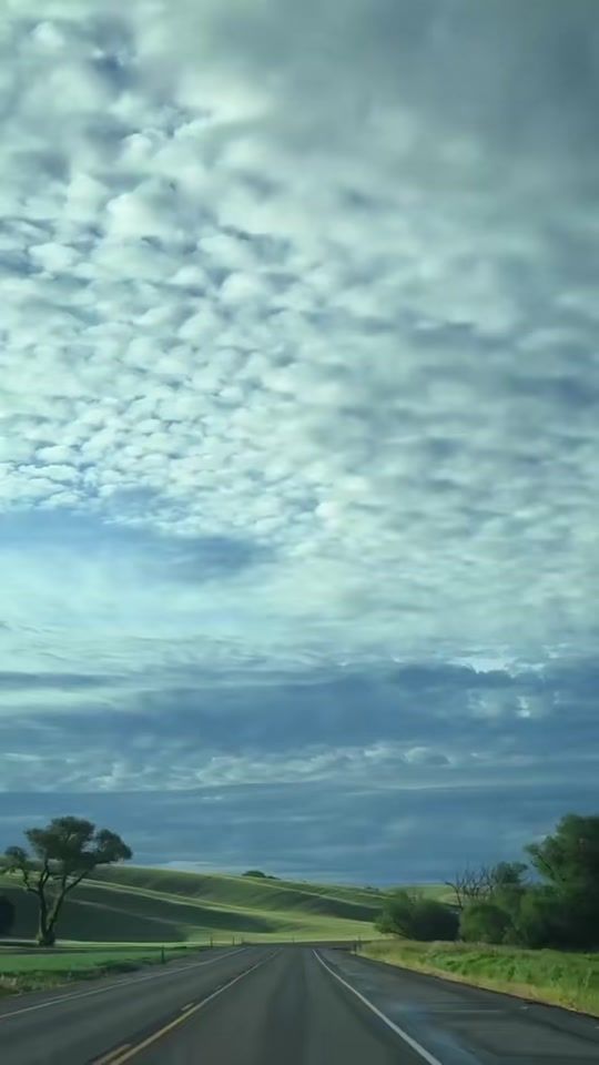 TikTok video thumbnail by peoplepsy