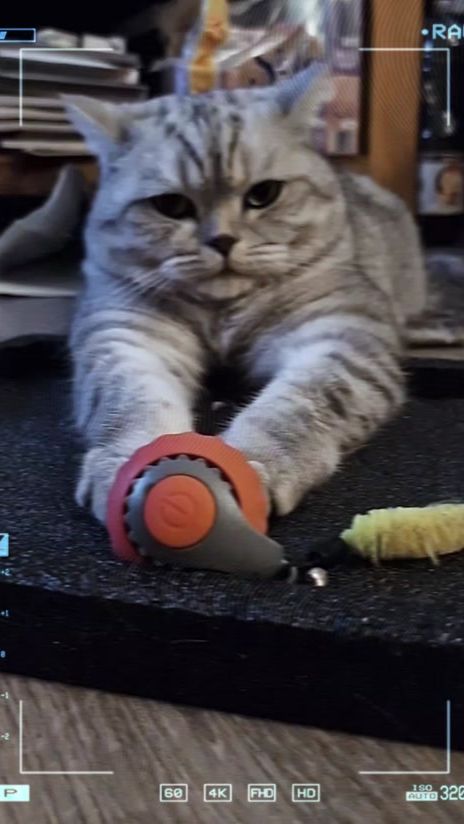TikTok video thumbnail by snakjes