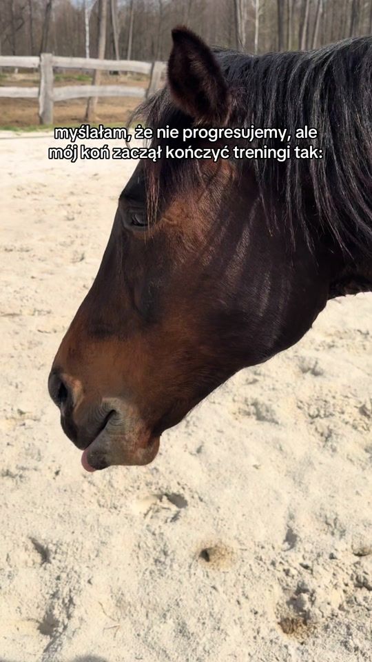 TikTok video thumbnail by szewcwbutach