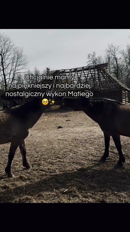 TikTok video thumbnail by mowmipalemka