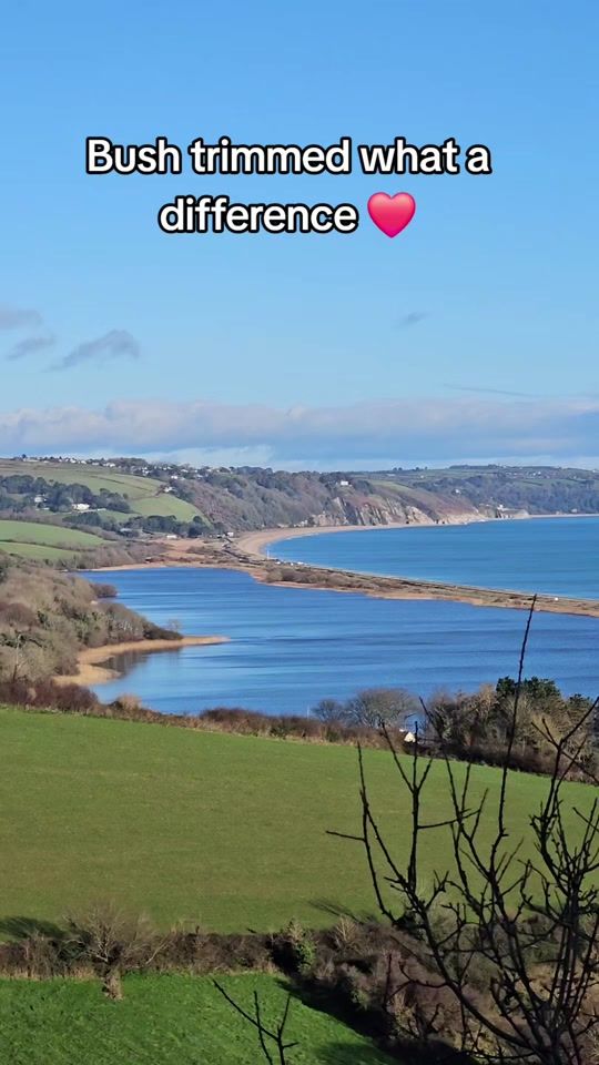 TikTok video thumbnail by angel_delight_backup