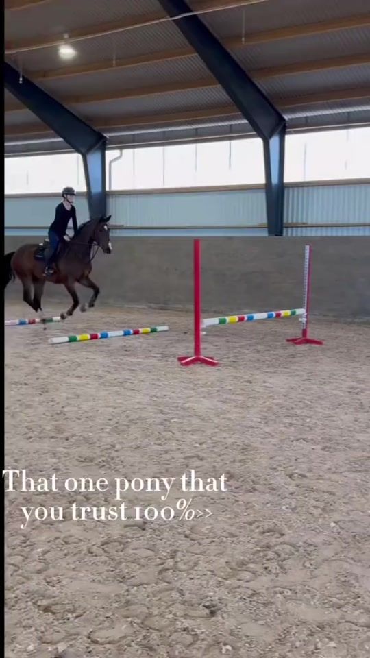 TikTok video thumbnail by ponnixncc1s