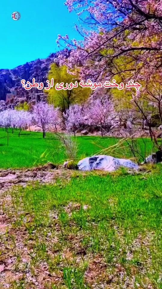 TikTok video thumbnail by roya.0102