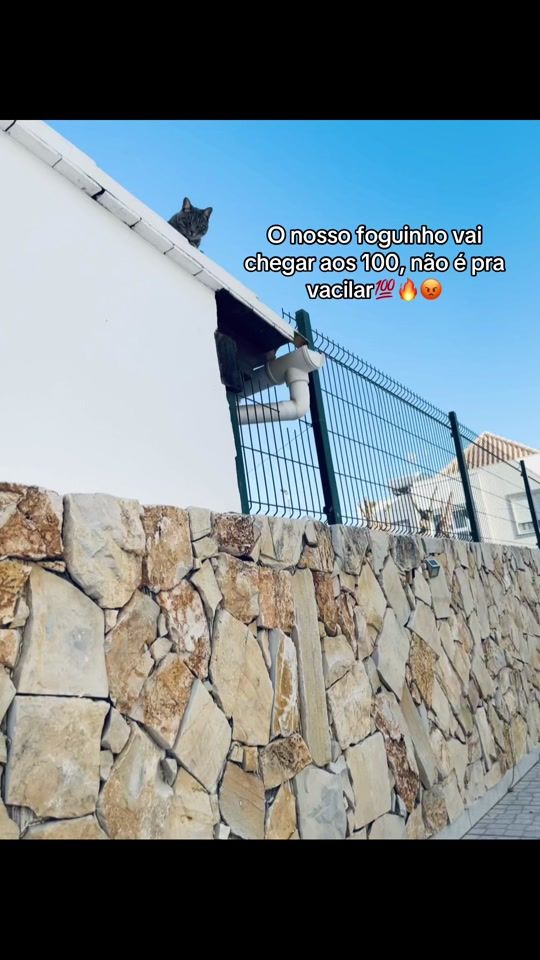 TikTok video thumbnail by republicaaa_