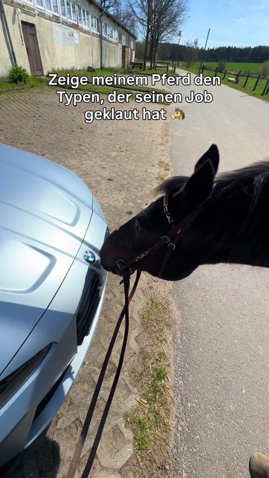 TikTok video thumbnail by anica.zi