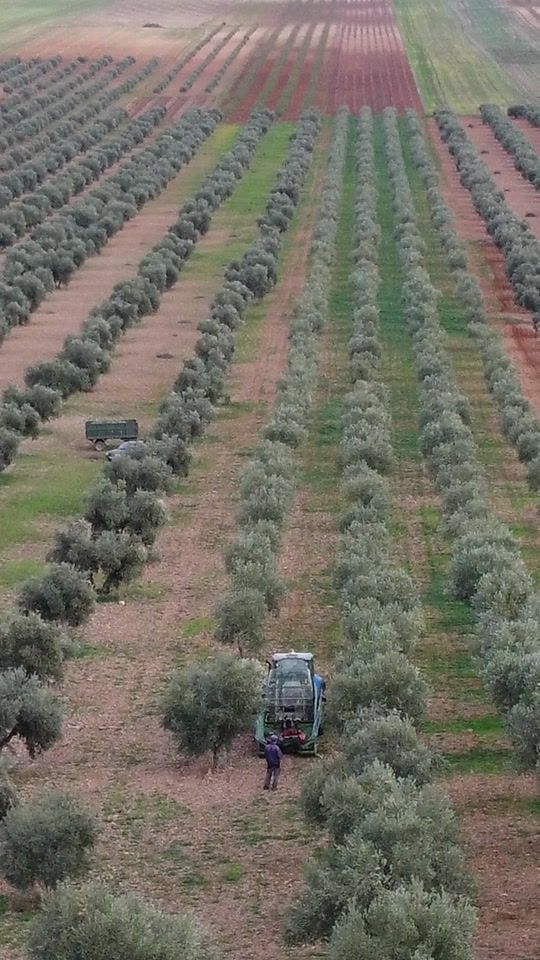 TikTok video thumbnail by manuti221