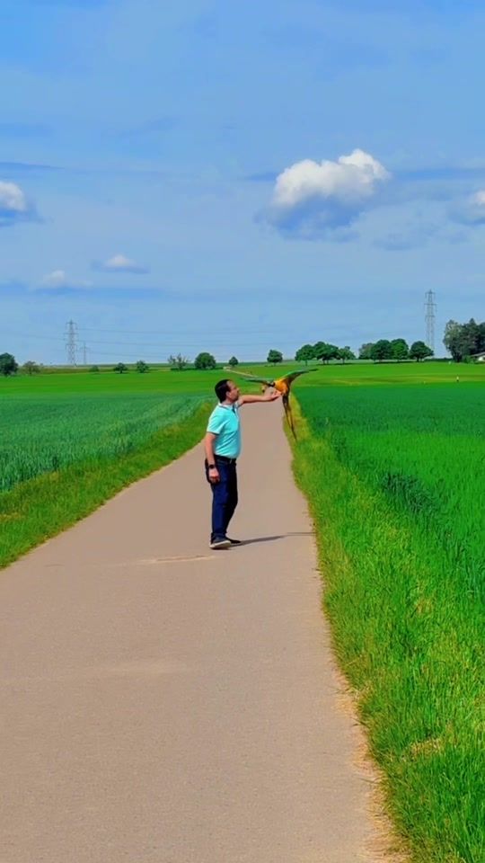 TikTok video thumbnail by musa_38__