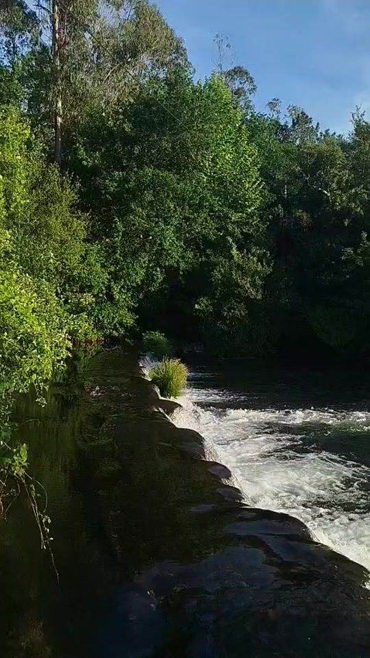 TikTok video thumbnail by deolinda.da.silva25