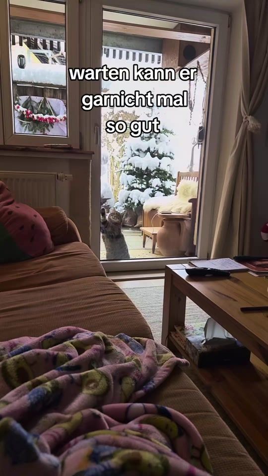 TikTok video thumbnail by mialuna1983