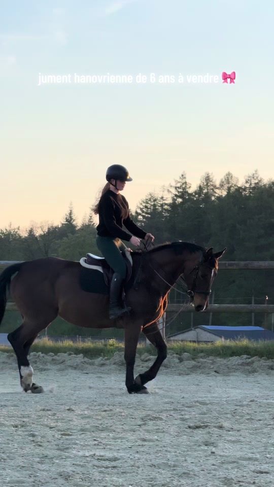 TikTok video thumbnail by t.p_horses