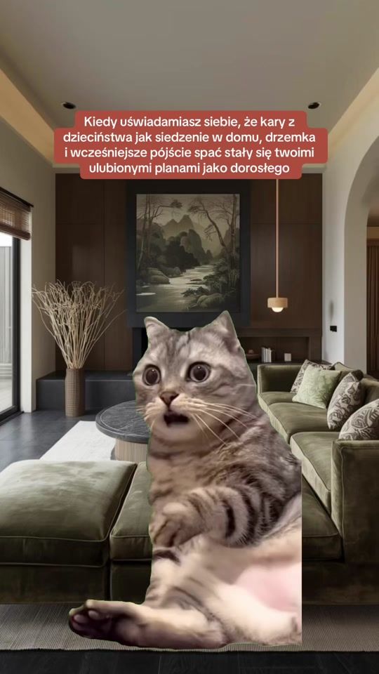 TikTok video thumbnail by imneutrvls