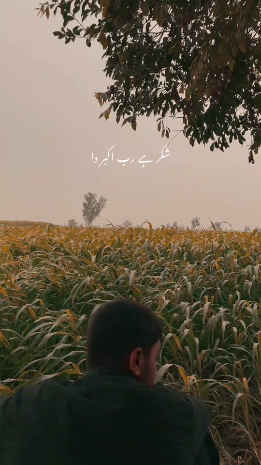 TikTok video thumbnail by jatt.clicks