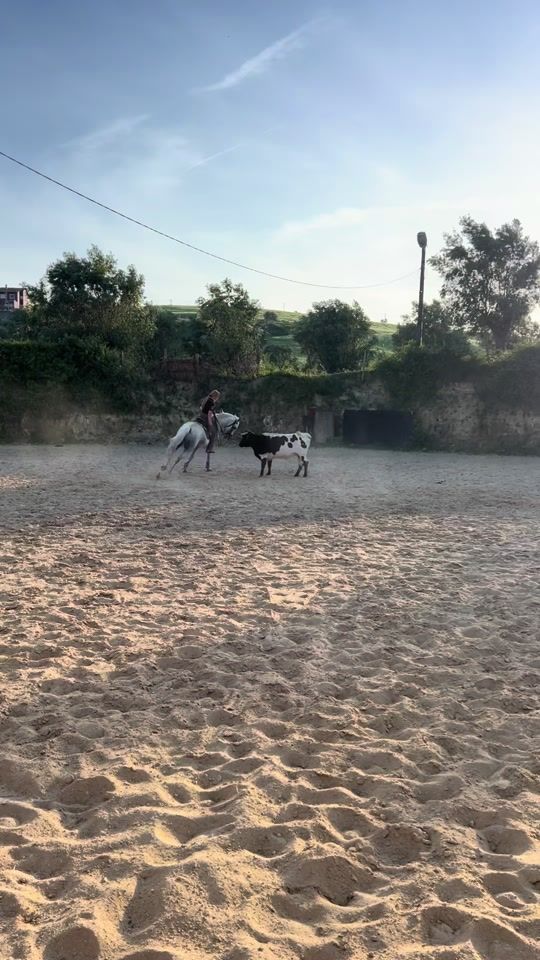 TikTok video thumbnail by _miateixeira_