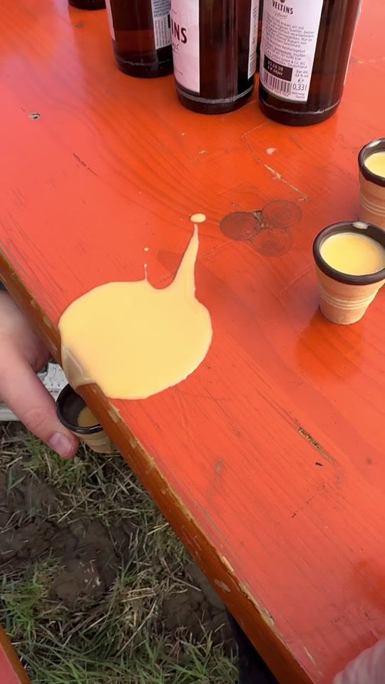 TikTok video thumbnail by elvis_und_sidney