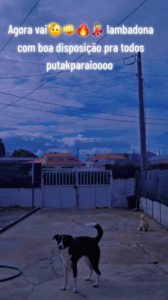 TikTok video thumbnail by joanafernandes77