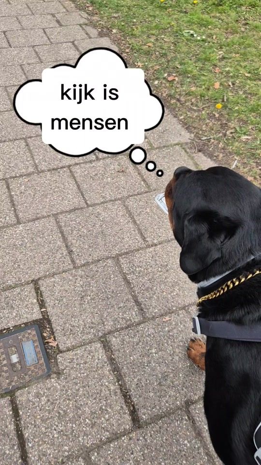 TikTok video thumbnail by miralkorkmaz