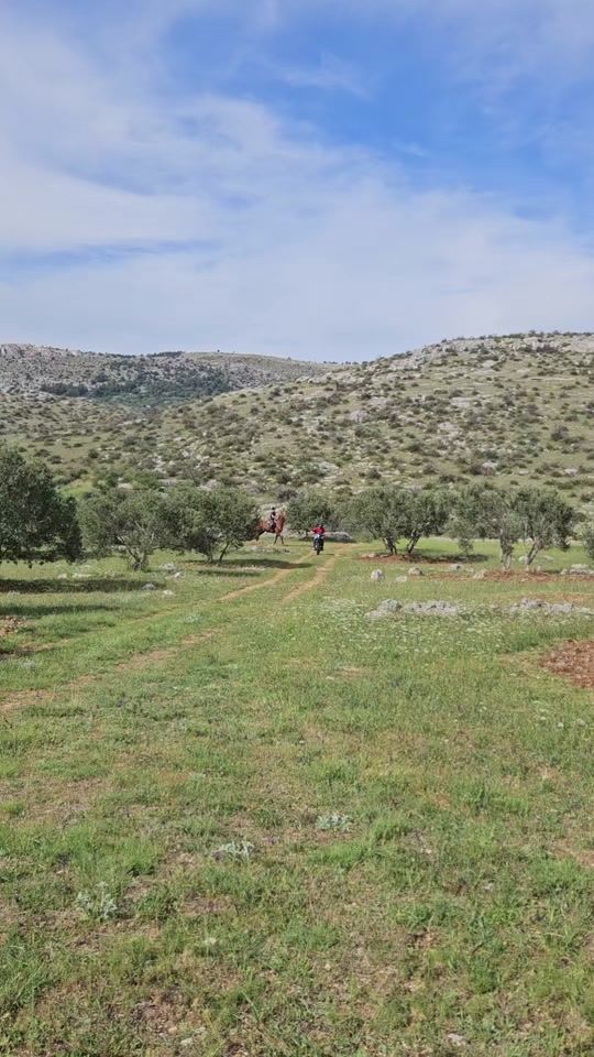 TikTok video thumbnail by ranch_reful
