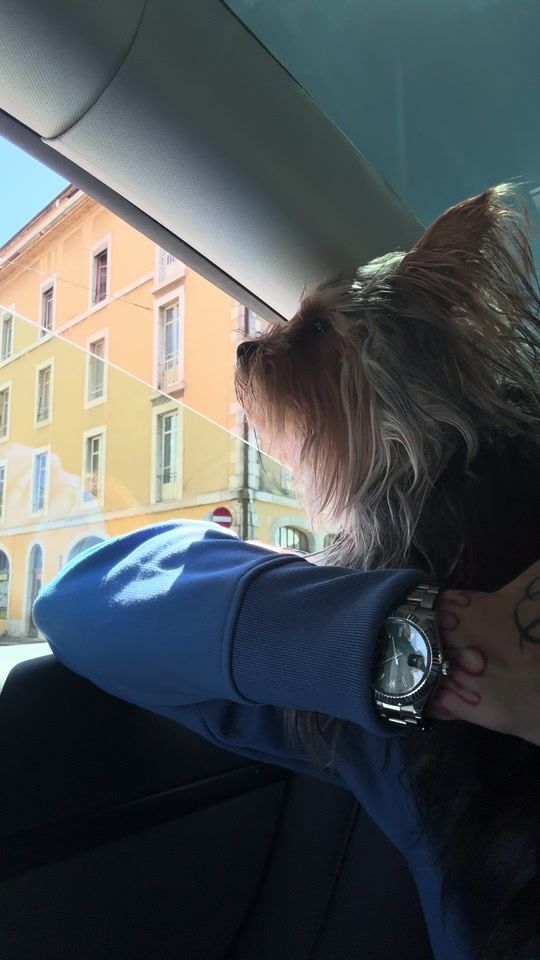 TikTok video thumbnail by alxdime