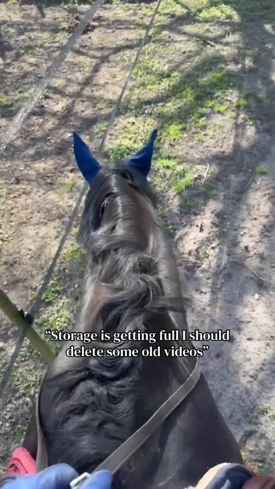 TikTok video thumbnail by kvl_stables