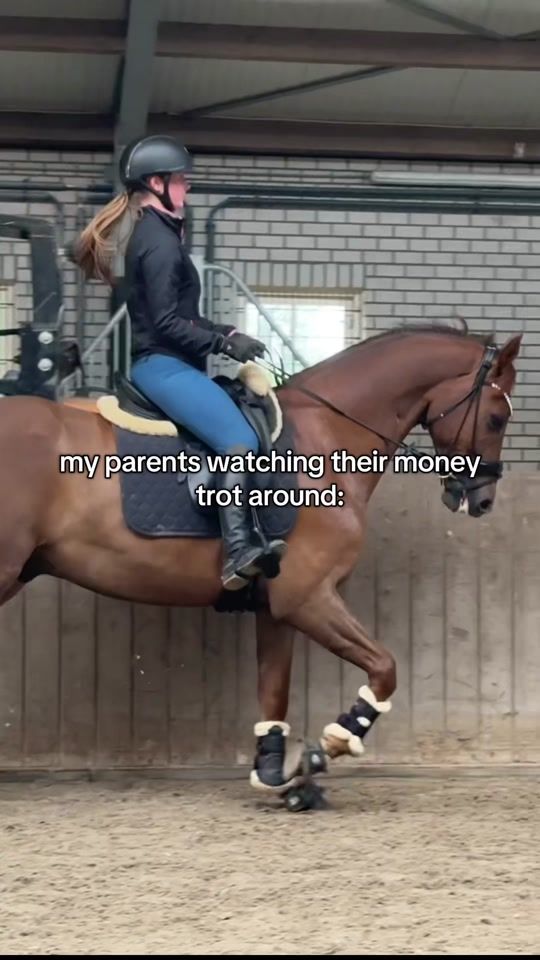 TikTok video thumbnail by veerlestofferhorses