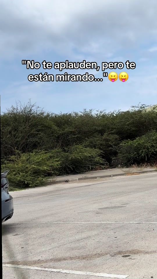 TikTok video thumbnail by chamitojfl