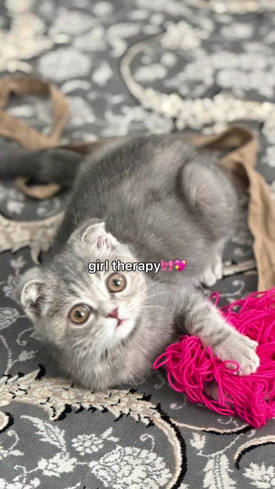 TikTok video thumbnail by nazaningucci