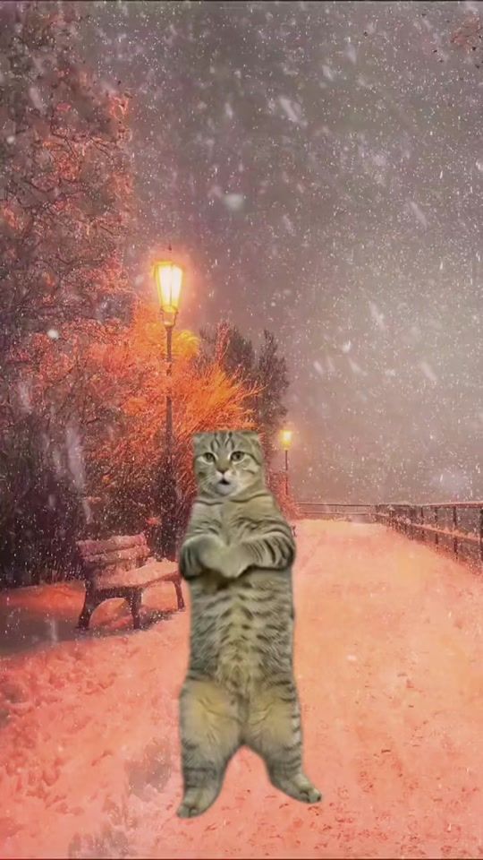 TikTok video thumbnail by _tomatona_