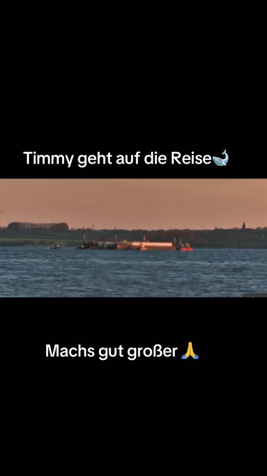 TikTok video thumbnail by tobi_ausgera