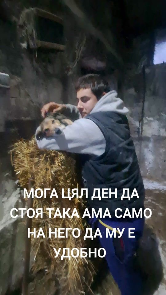 TikTok video thumbnail by yovko63