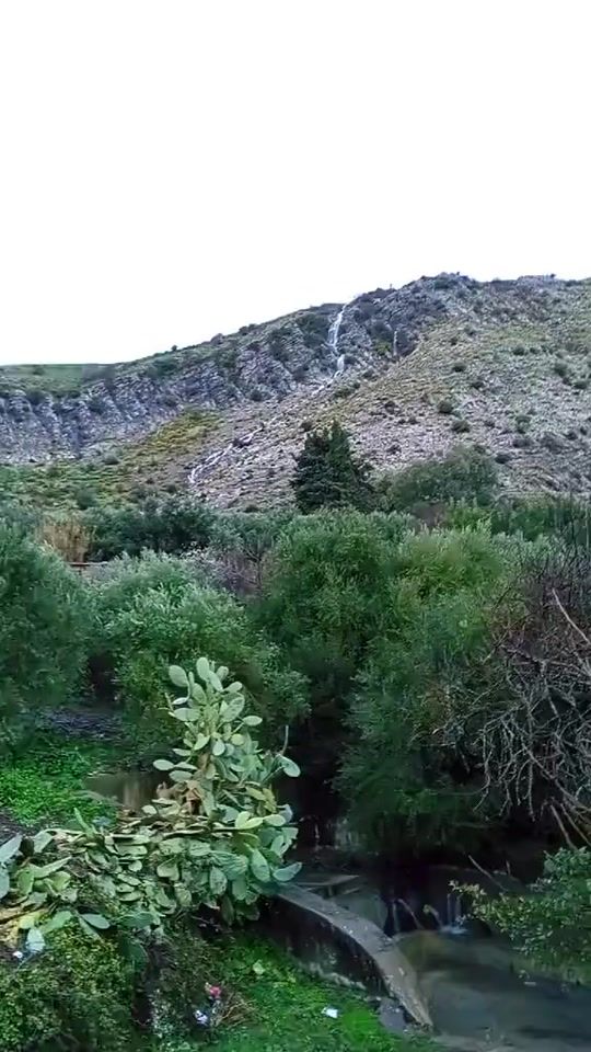 TikTok video thumbnail by baltirouge