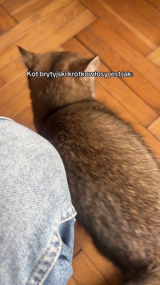 TikTok video thumbnail by tatallkaaa