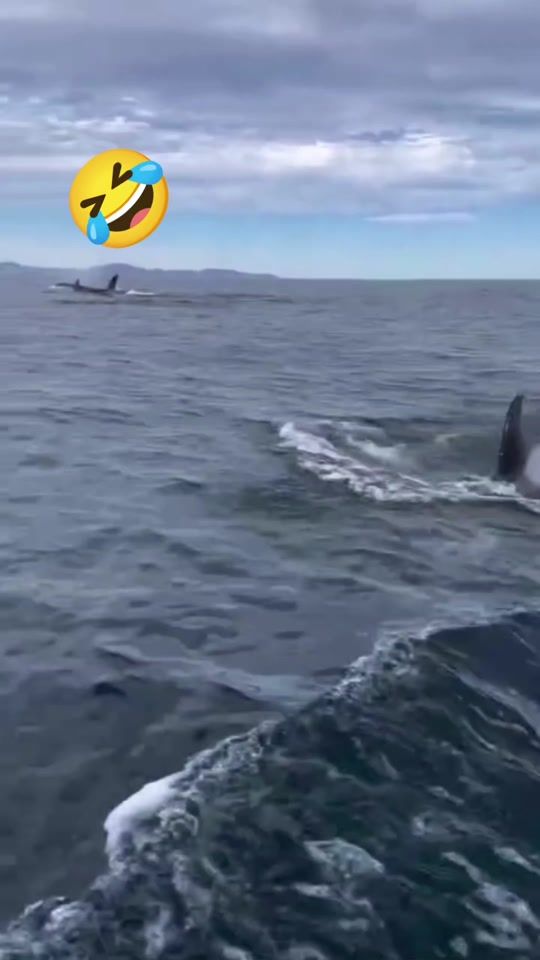 TikTok video thumbnail by usenala13