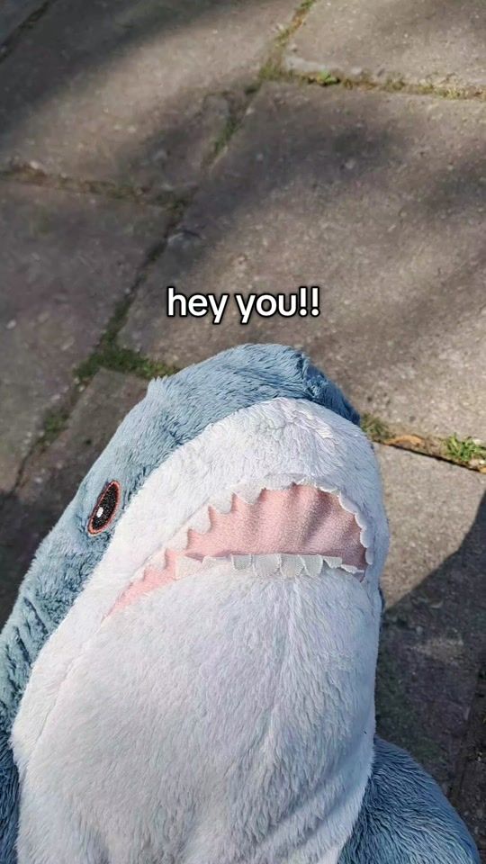 TikTok video thumbnail by willy_theshark