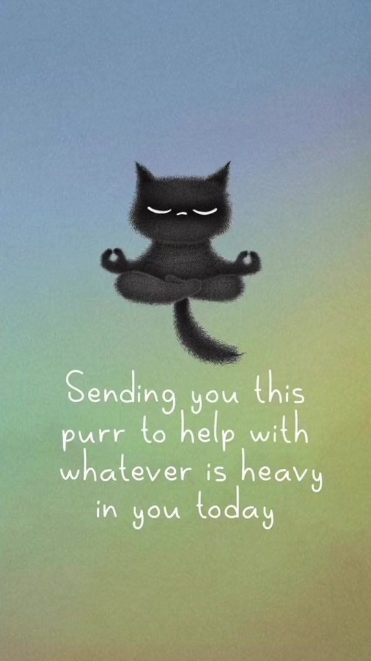 TikTok video thumbnail by purr.in.ink