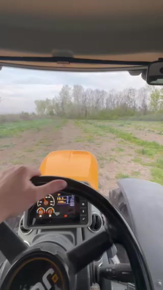 TikTok video thumbnail by damso2934