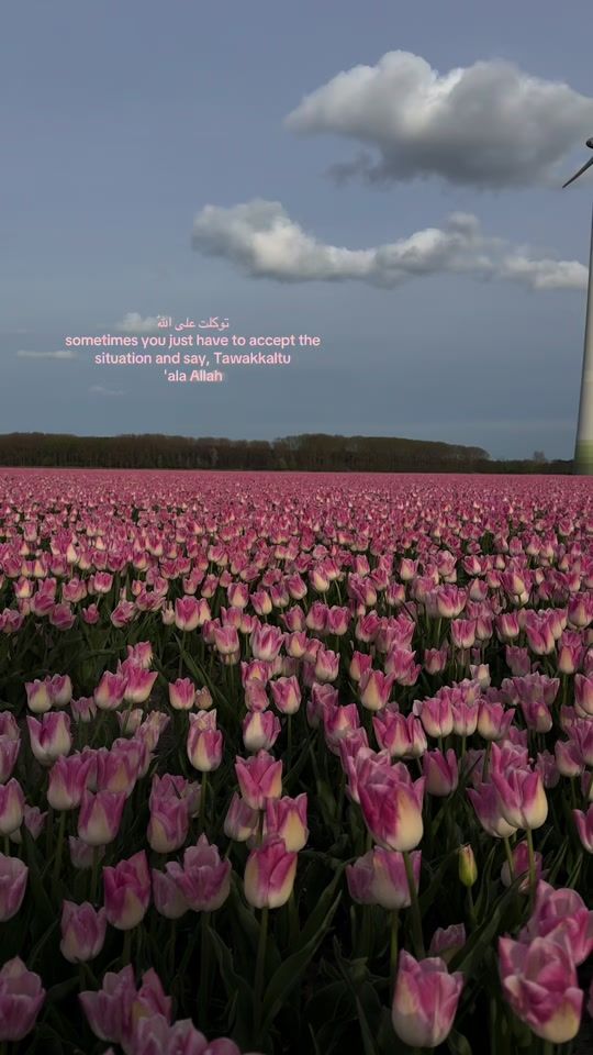 TikTok video thumbnail by halimaaee