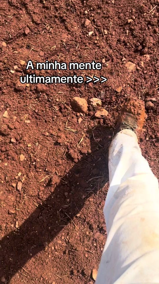 TikTok video thumbnail by diogo.lidorio