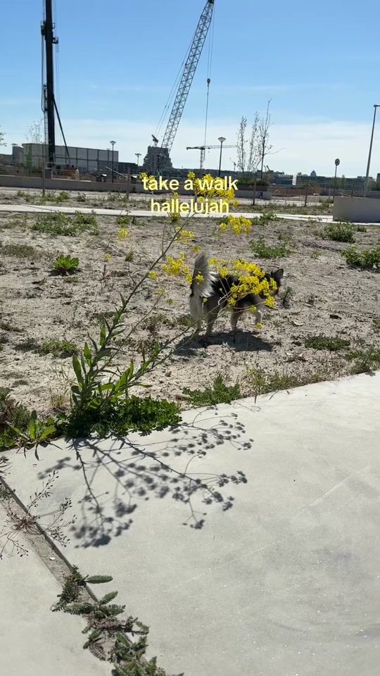 TikTok video thumbnail by iamjenwhite.ugc
