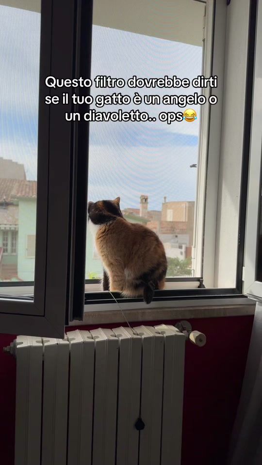 TikTok video thumbnail by saraloddo_