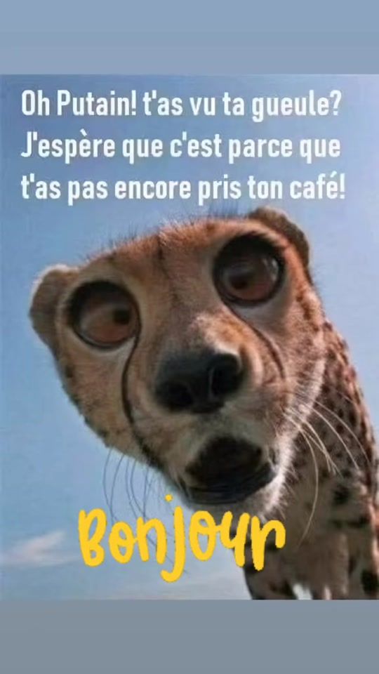 TikTok video thumbnail by didier_anonymous1962