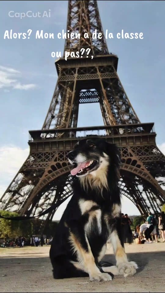 TikTok video thumbnail by floorsigna