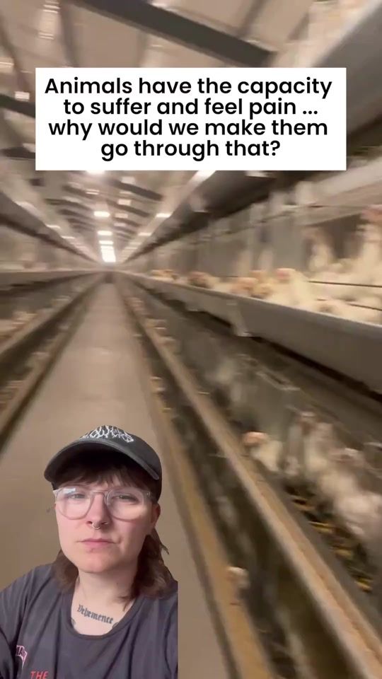 TikTok video thumbnail by vegan.f.t.a